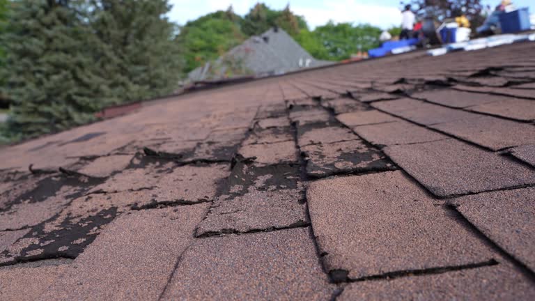 Best Skylight Installation and Repair  in , VT