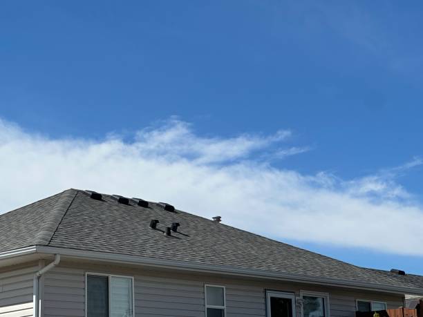 Best Roof Coating and Sealing  in , VT